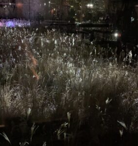 Glowing dancing lights and field installation at teamLab's Can Factory experience in Osaka